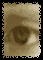eylook1